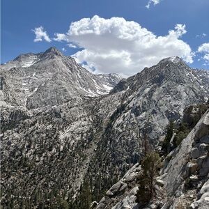 Meet your Posher, Lyss